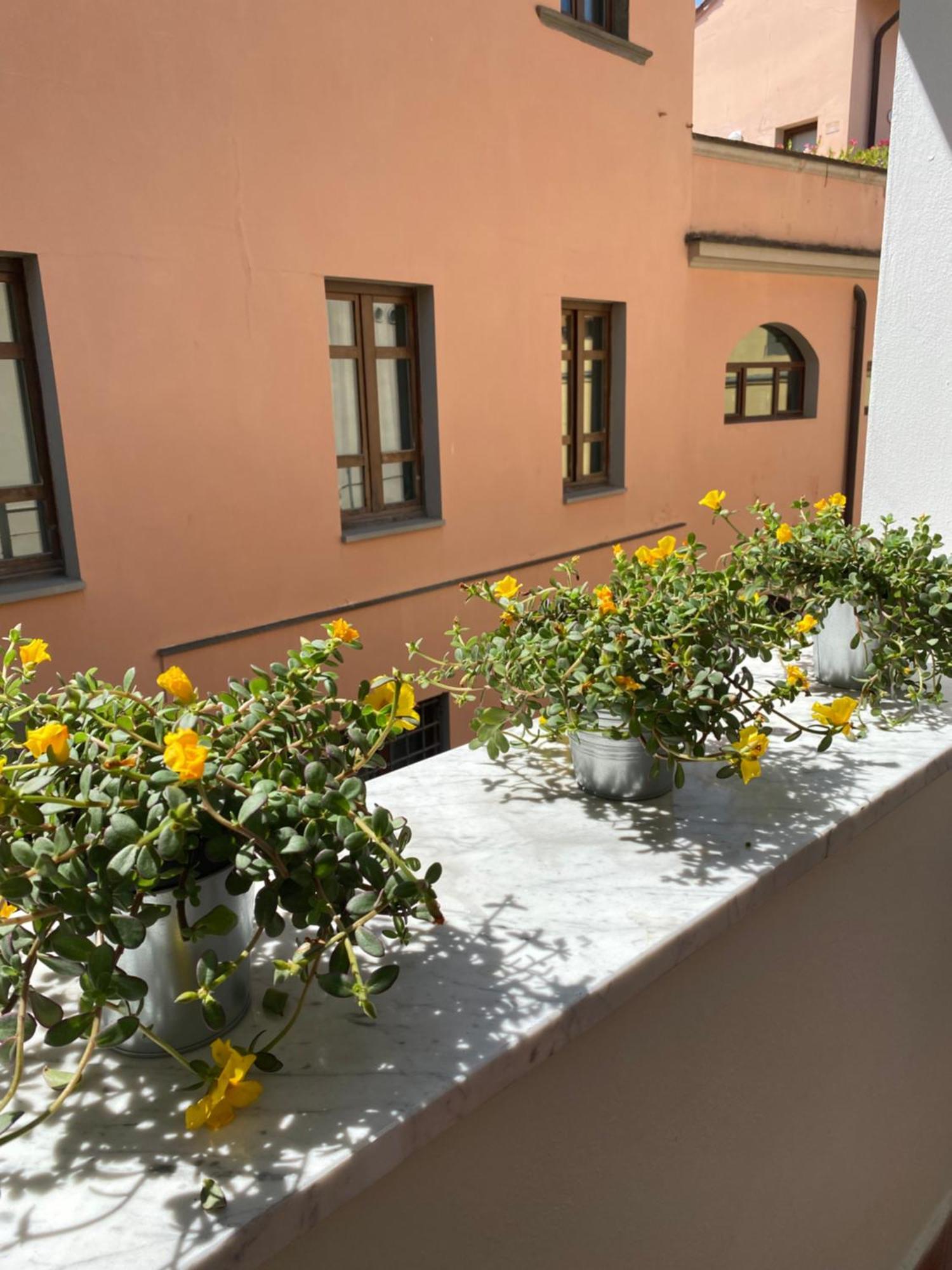 Appartement Blom Pisa